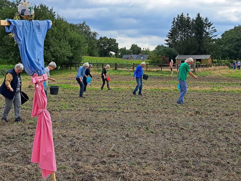 Zonnewending Zaaidag 15-09-2024 met vogelverschrikker landscape