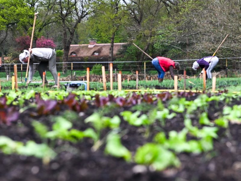 20250519 Zonnewending Vrijwilligers helpen mee