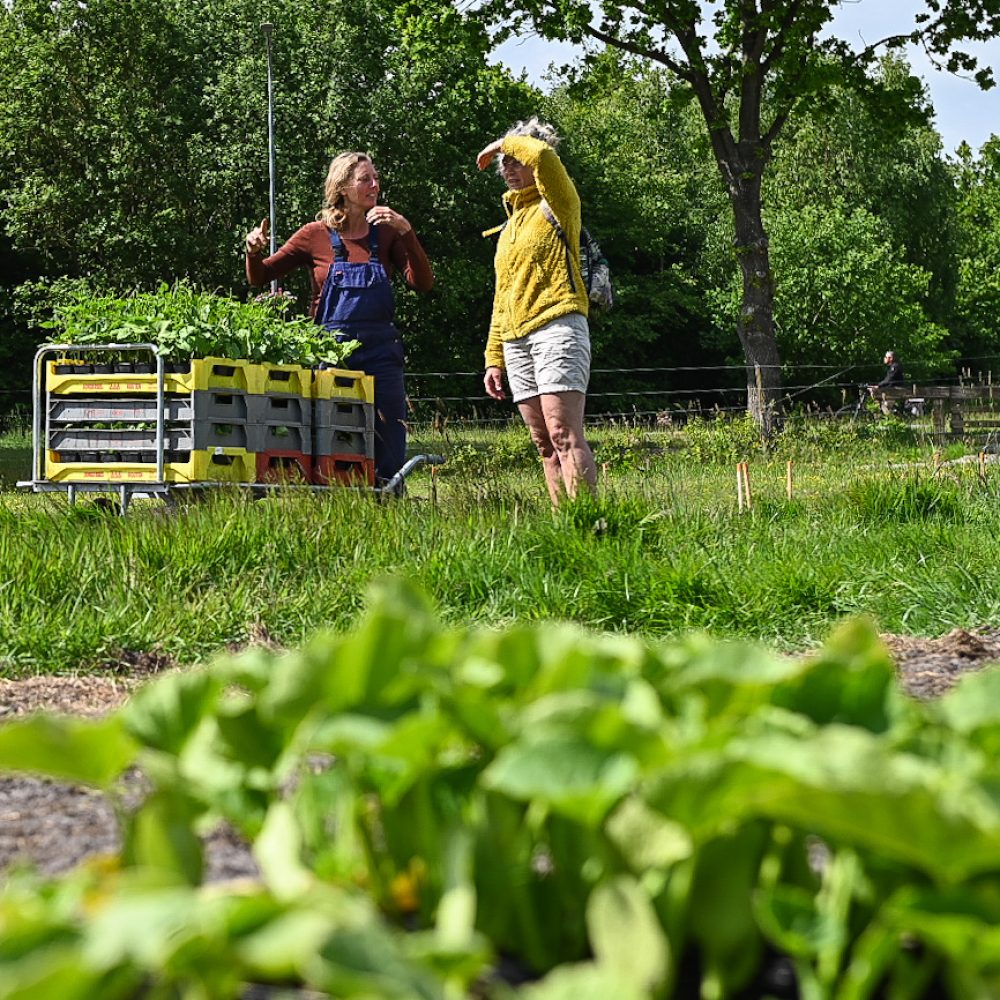 20250521 Zonnewending Tuinder Elise met gewassenkar